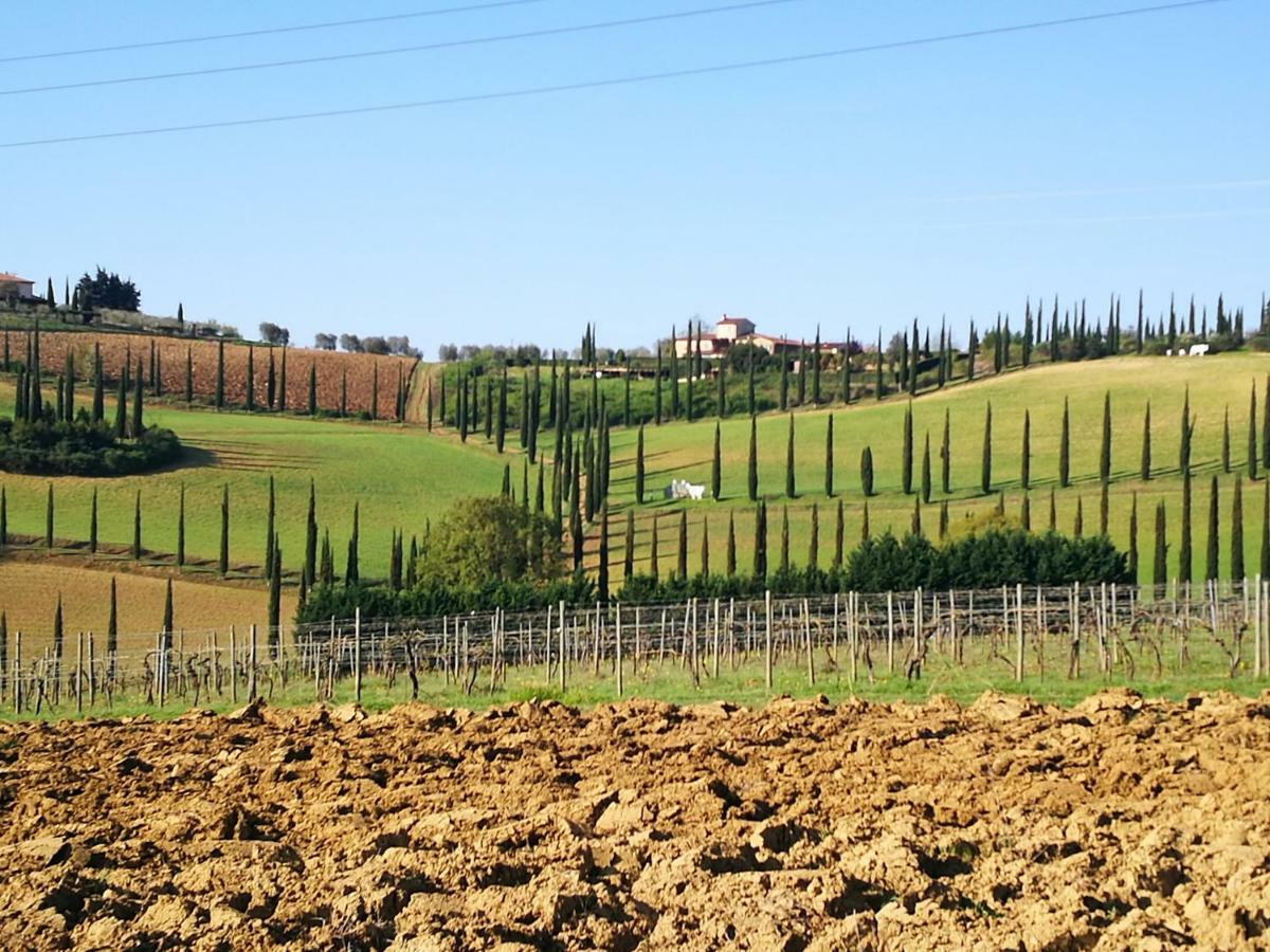 Castello Di Fulignano Ranuccio10 Superior Apartment San Gimignano Exteriér fotografie
